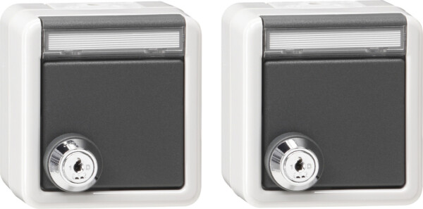 GIRA Set 2X Schuko Hc Lock Id Lock + In Sp  Wp Sm Grey