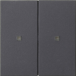GIRA Rf Op Top 2-G Knx System 55 Anthra