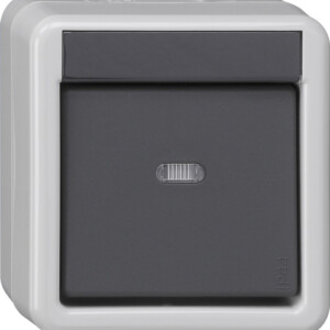 GIRA Bus Coup Btn 1-G Ctrl Win  + 1-Point Knx Wp Sm Grey