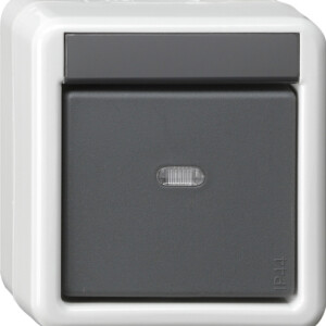 GIRA Bus Coup Btn 1-G Ctrl Win  + 2-Point Knx Wp Sm Grey