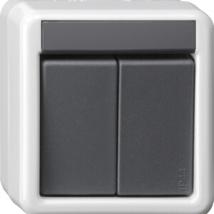 GIRA Bus Coup Btn 2-G 1-Point Knx Wp Sm Grey