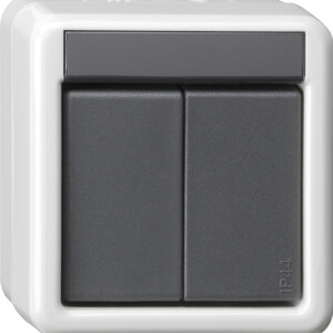 GIRA Bus Coup Btn 2-G 2-Point Knx Wp Sm Grey