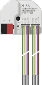 518800.jpg