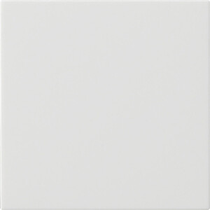 GIRA S3000 Op Top System 55 P White M