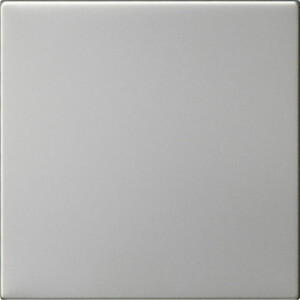 GIRA S3000 Op Top System 55 Stainl Steel