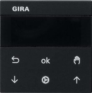5366005.jpg