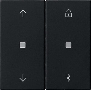 5367005.jpg