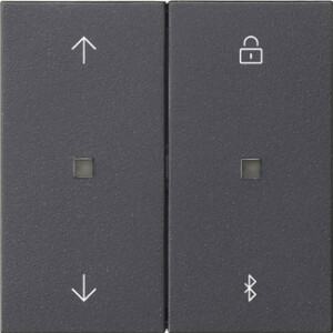 GIRA S3000 Blind Timer/Timer Bt Arrows System 55 Anthra