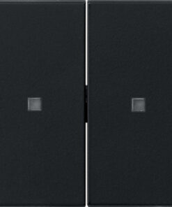 GIRA Rocker 2-G Blank Ctrl Win  System 55 Black M