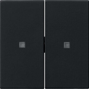 5369005.jpg