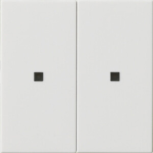GIRA Rocker 2-G Blank Ctrl Win  System 55 P White