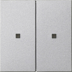 GIRA Rocker 2-G Blank Ctrl Win  System 55 C Alum