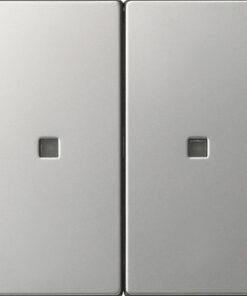 GIRA Rocker 2-G Blank Ctrl Win  System 55 Stainl Steel
