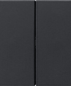 GIRA Rocker 2-G Blank System 55 Black M