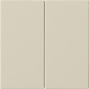 GIRA Rocker 2-G Blank System 55 Cr White