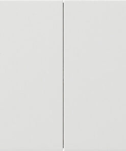 GIRA Rocker 2-G Blank Gira F100 P White