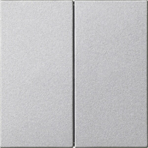 GIRA Rocker 2-G Blank System 55 C Alum
