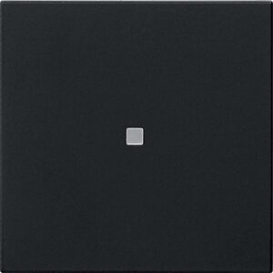 5371005.jpg