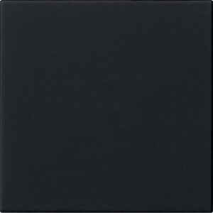 5372005.jpg