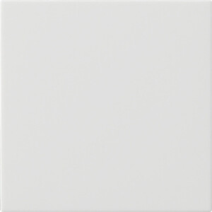 GIRA Rocker 1-G Blank System 55 P White