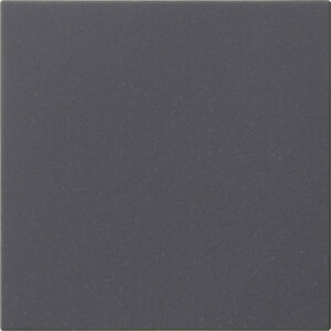 GIRA Rocker 1-G Blank System 55 Anthra