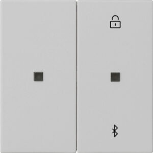 5381015.jpg