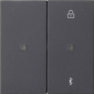GIRA S3000 Blind Timer/Timer Bt System 55 Anthra