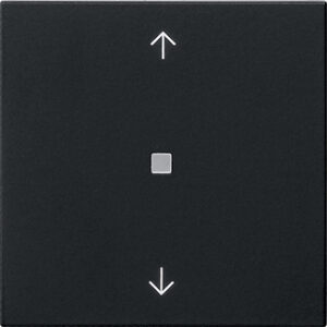 5382005.jpg
