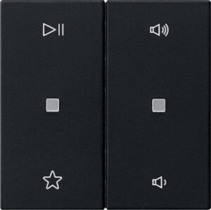 5384005.jpg