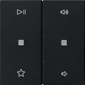 GIRA Rocker 2-G Audio Ctrl  System 55 Black M