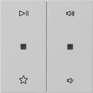5384015.jpg