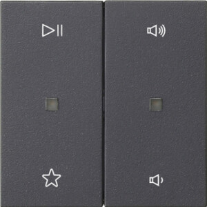 GIRA Rocker 2-G Audio Ctrl  System 55 Anthra
