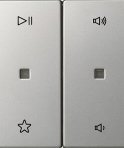 GIRA Rocker 2-G Audio Ctrl  System 55 Stainl Steel