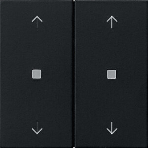 GIRA Rocker 2-G Arrows Ctrl Win  System 55 Black M
