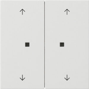 5386112.jpg