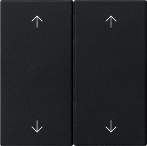 5387005.jpg