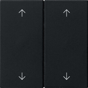 GIRA Rocker 2-G Arrows System 55 Black M