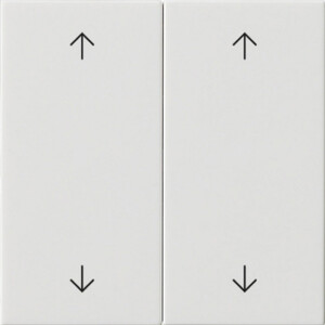 GIRA Rocker 2-G Arrows System 55 P White
