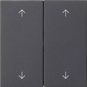 GIRA Rocker 2-G Arrows System 55 Anthra