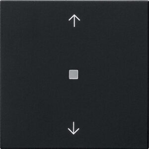 5388005.jpg