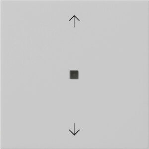 5388015.jpg