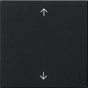 5389005.jpg