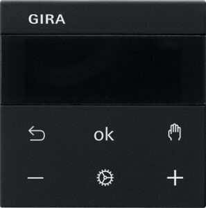 5393005.jpg