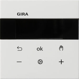 5393112.jpg