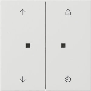5492112.jpg