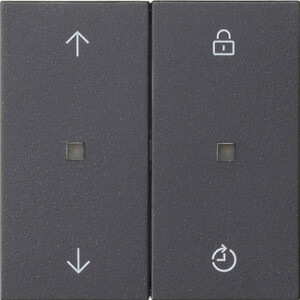 GIRA Gira Enet Wl Op Top Memory Arrows System 55 Anthra