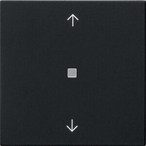 5494005.jpg