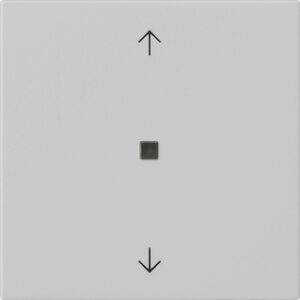 5494015.jpg