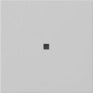 5495015.jpg