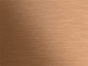 5543921.jpg